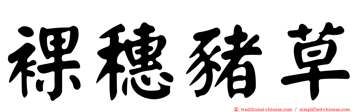 裸穗豬草