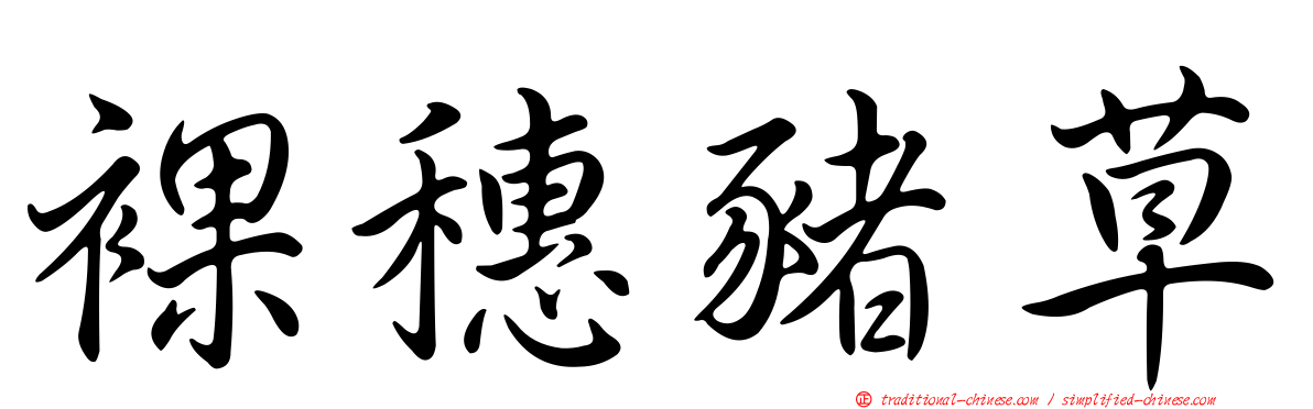 裸穗豬草