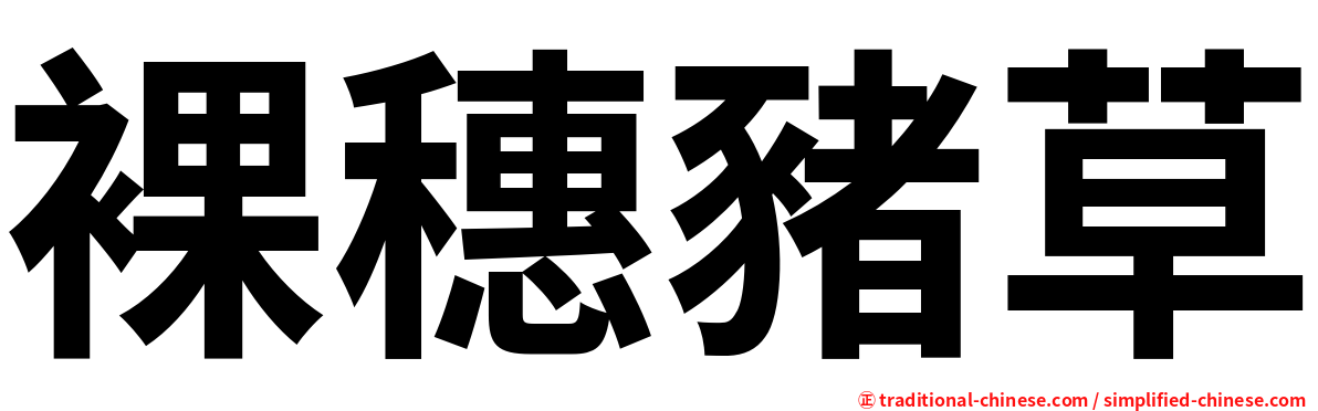 裸穗豬草