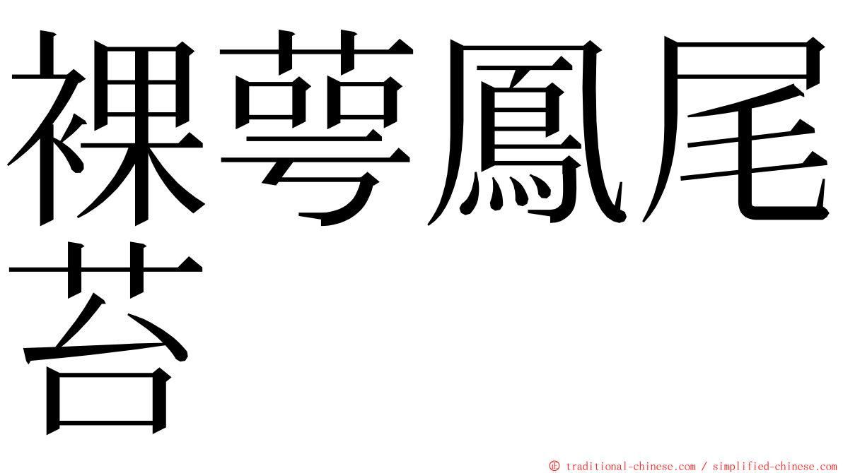 裸萼鳳尾苔 ming font