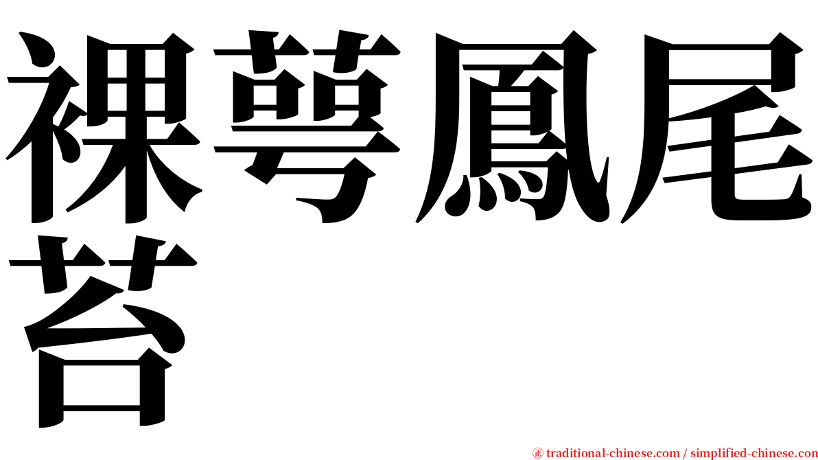 裸萼鳳尾苔 serif font