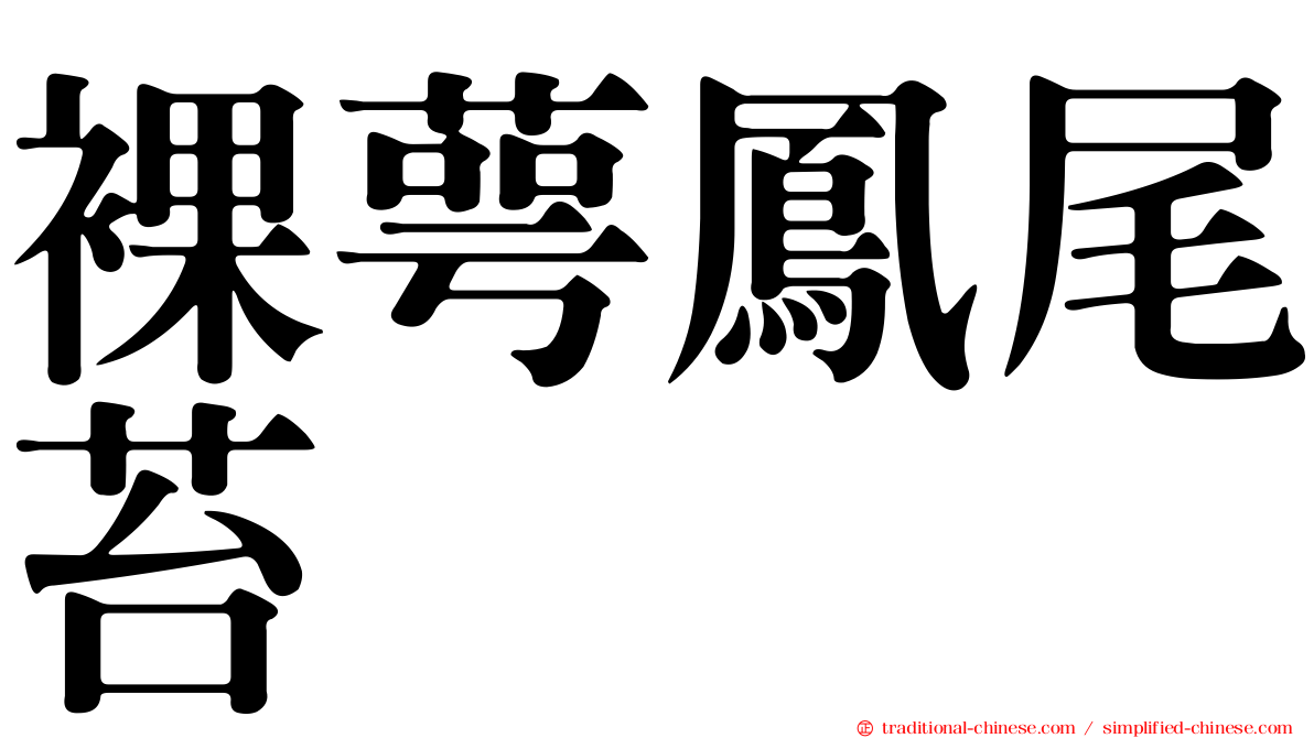 裸萼鳳尾苔