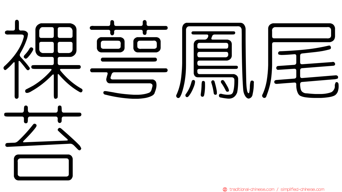 裸萼鳳尾苔