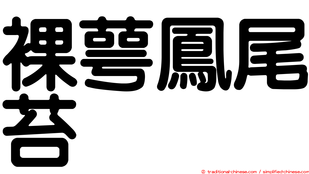 裸萼鳳尾苔