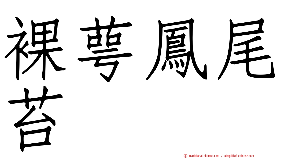 裸萼鳳尾苔
