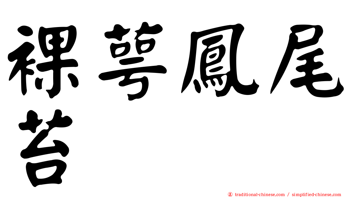 裸萼鳳尾苔