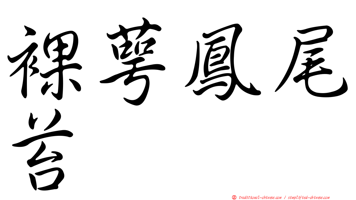 裸萼鳳尾苔