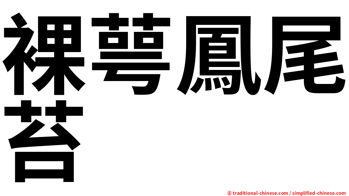 裸萼鳳尾苔