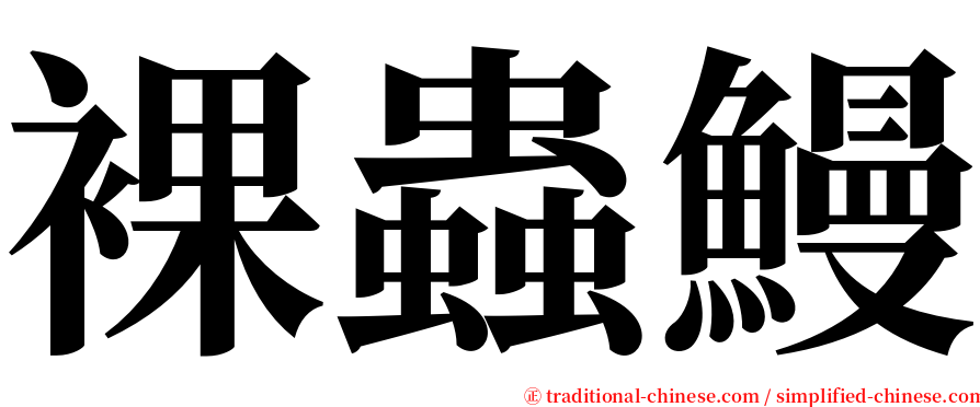 裸蟲鰻 serif font