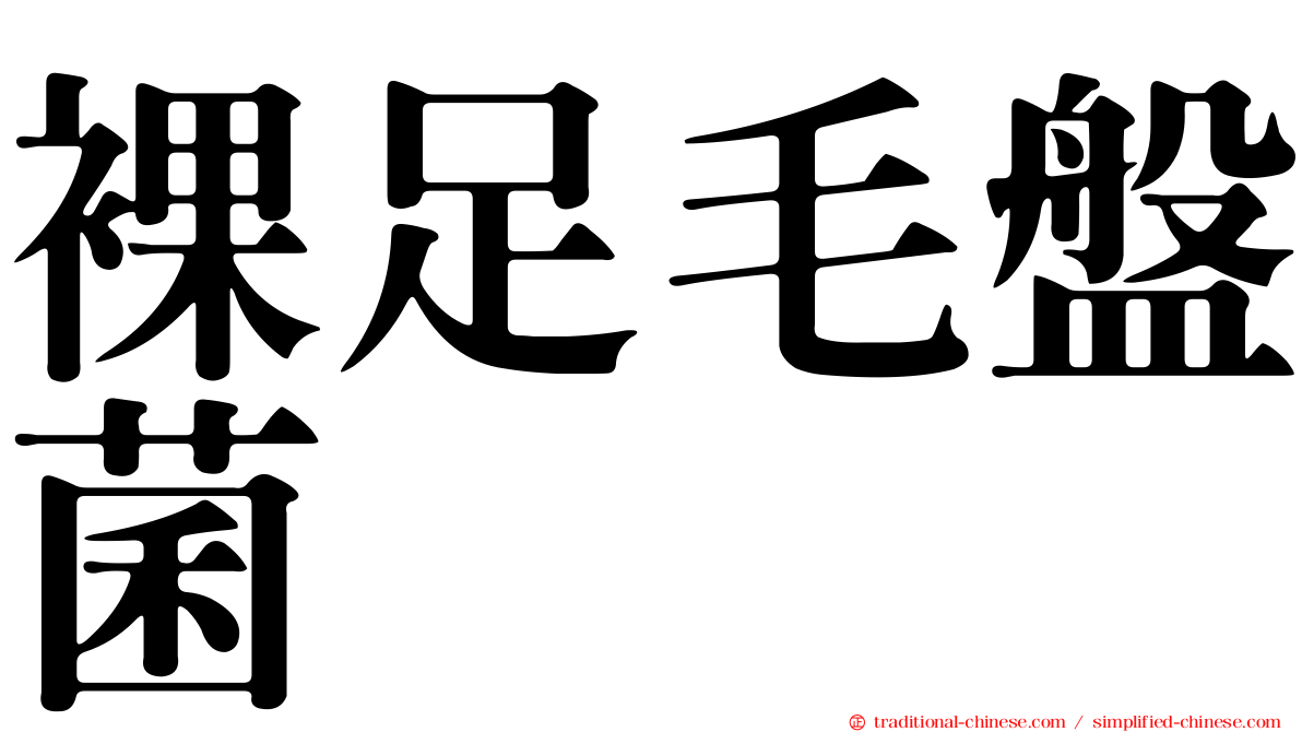 裸足毛盤菌