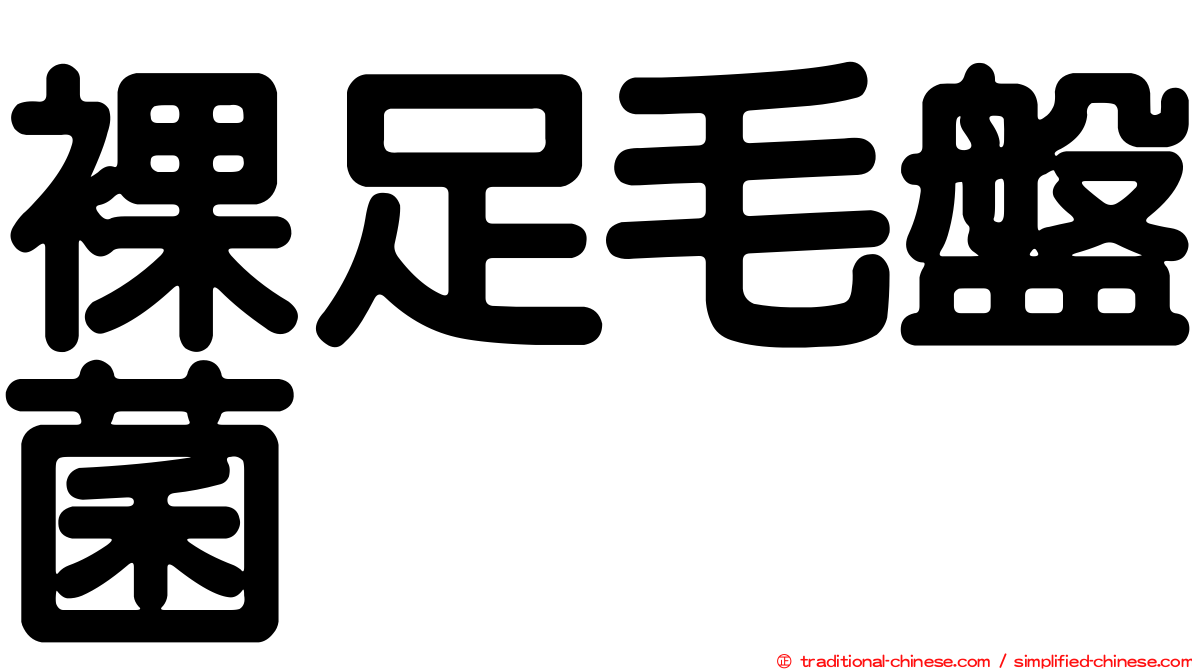 裸足毛盤菌