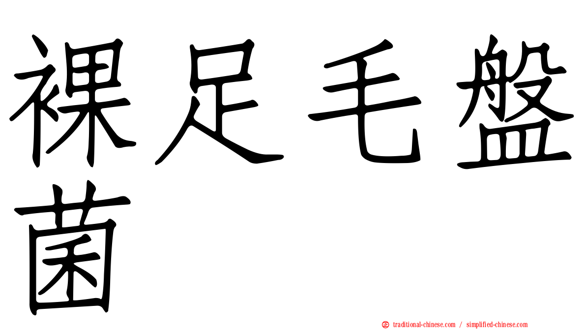 裸足毛盤菌