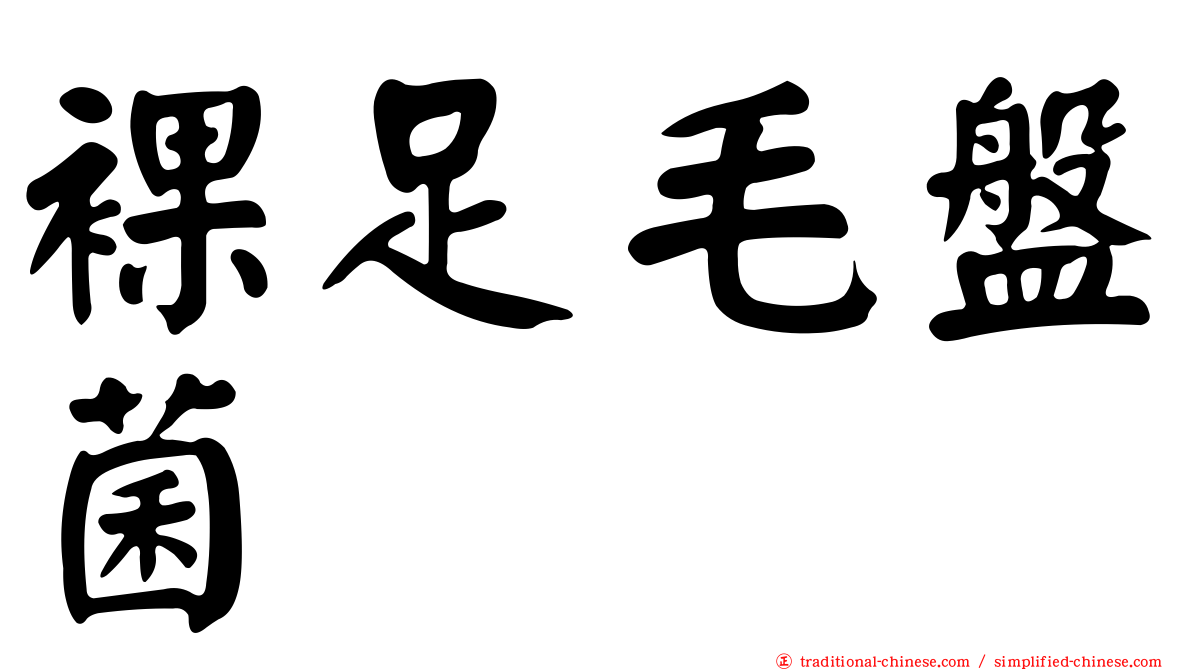 裸足毛盤菌
