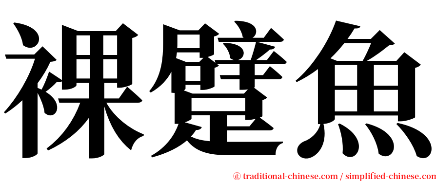裸躄魚 serif font
