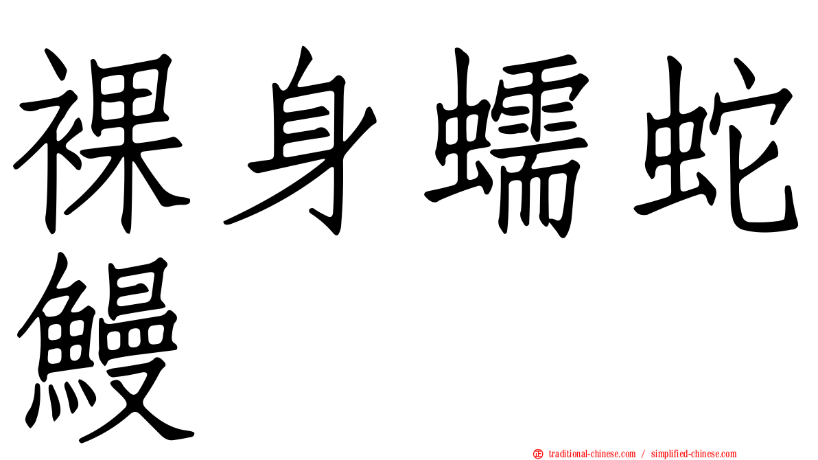 裸身蠕蛇鰻