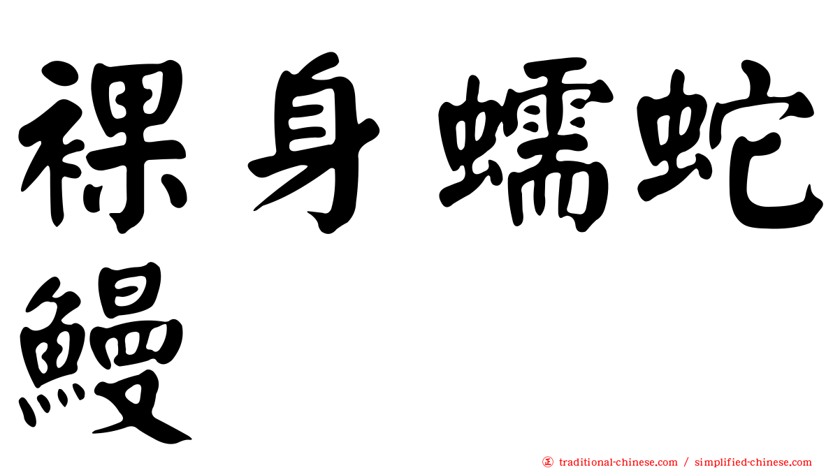 裸身蠕蛇鰻
