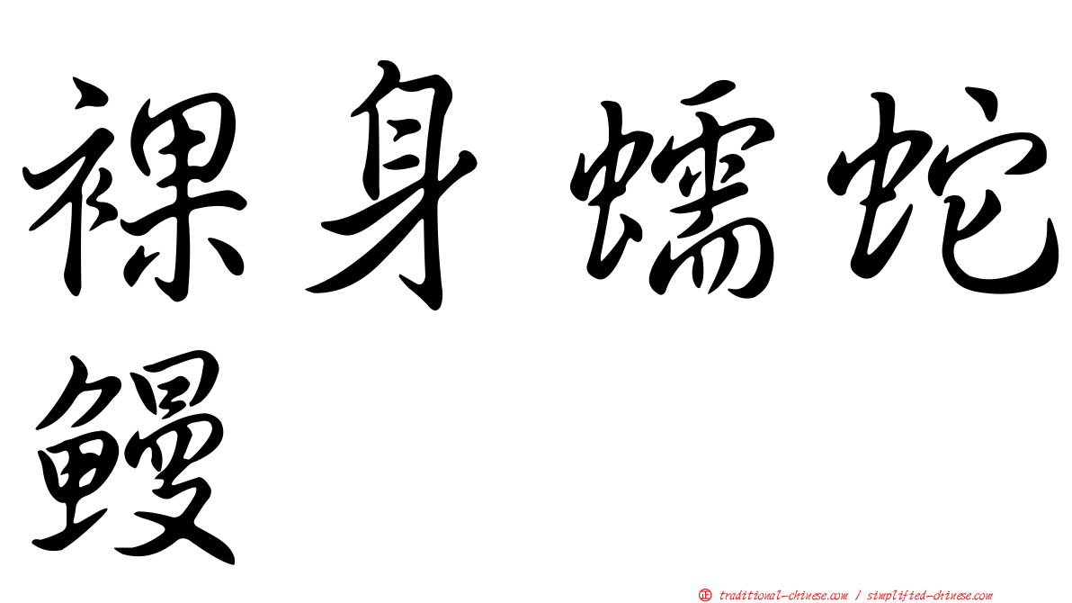 裸身蠕蛇鰻