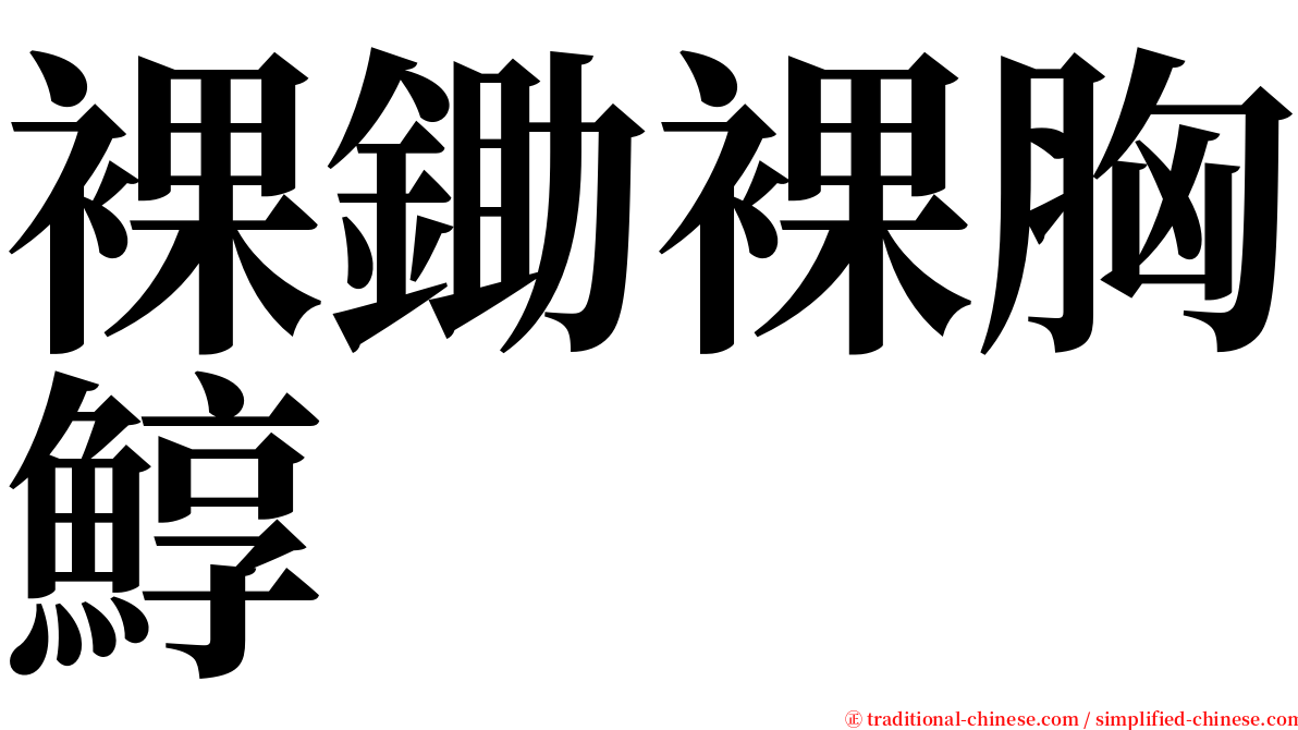 裸鋤裸胸鯙 serif font