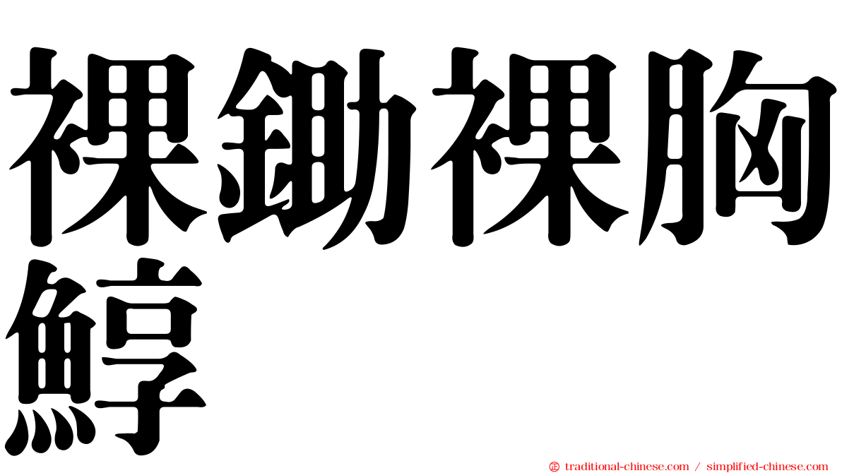 裸鋤裸胸鯙