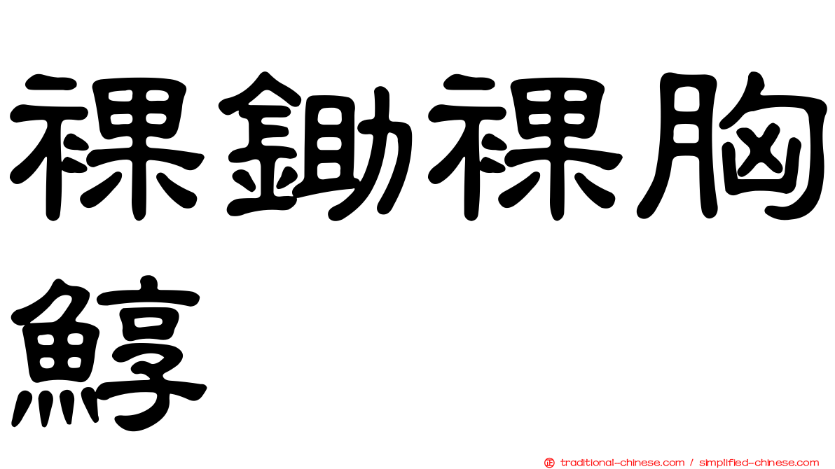裸鋤裸胸鯙