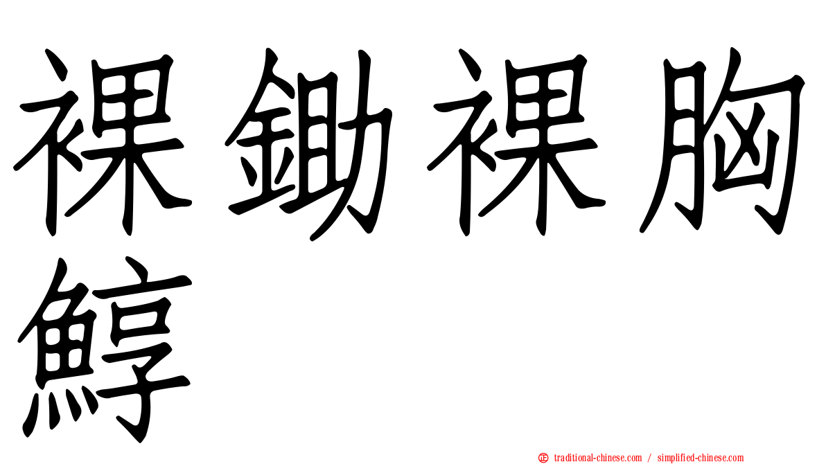 裸鋤裸胸鯙