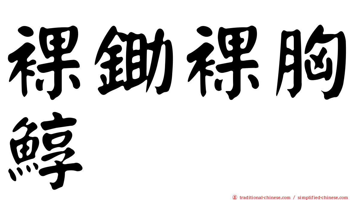裸鋤裸胸鯙