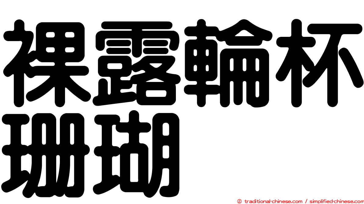 裸露輪杯珊瑚