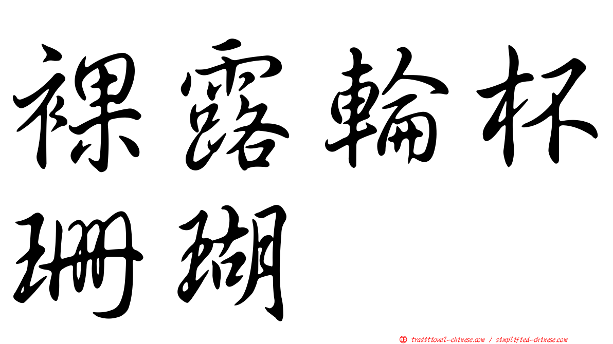 裸露輪杯珊瑚