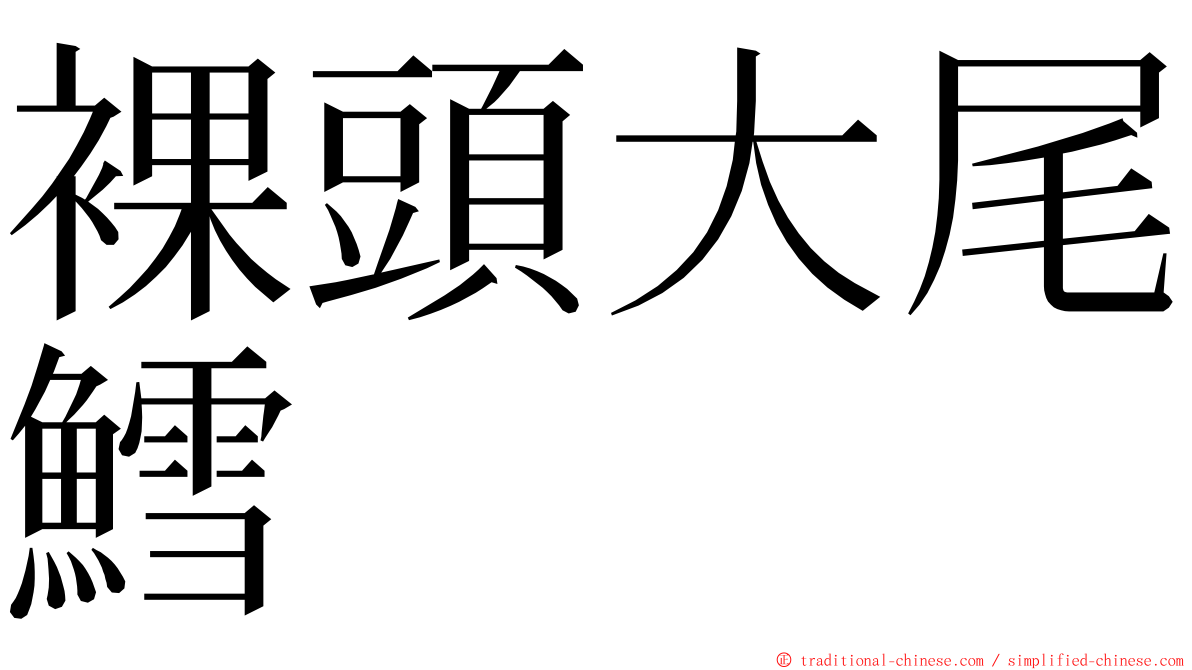 裸頭大尾鱈 ming font