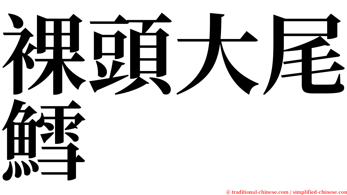 裸頭大尾鱈 serif font