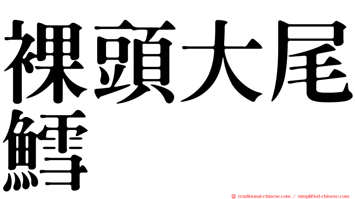 裸頭大尾鱈