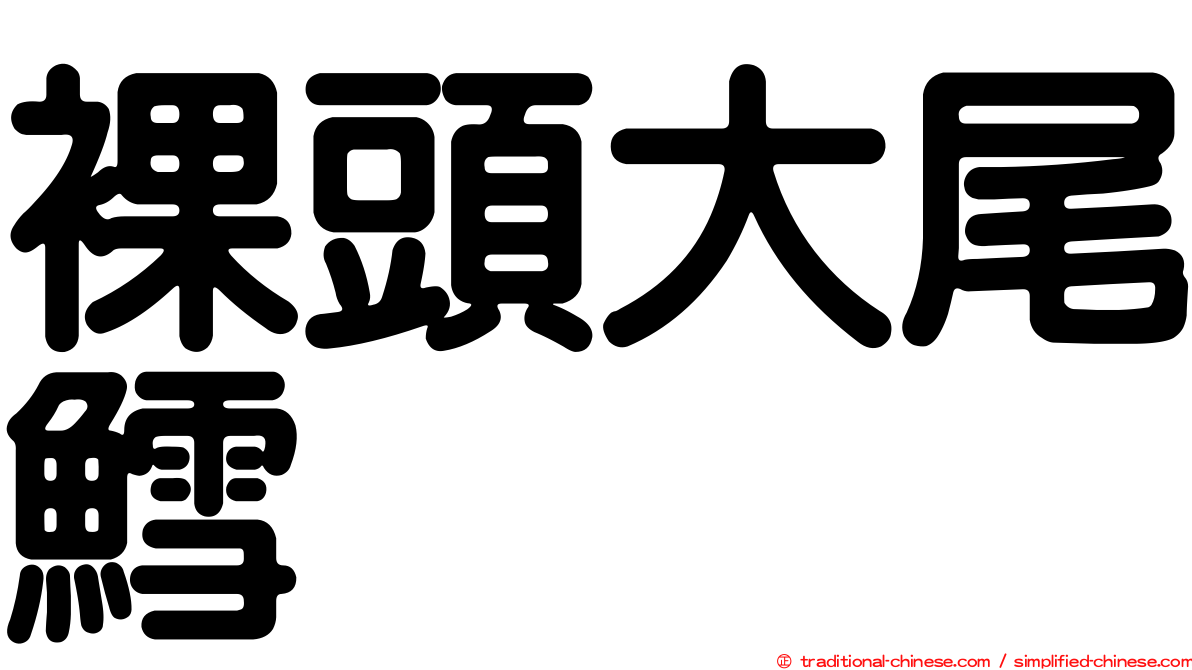 裸頭大尾鱈