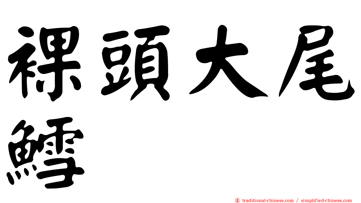 裸頭大尾鱈