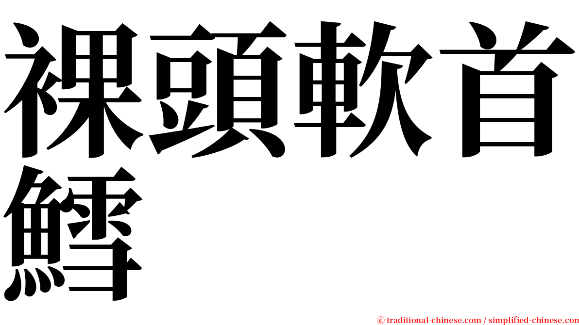 裸頭軟首鱈 serif font