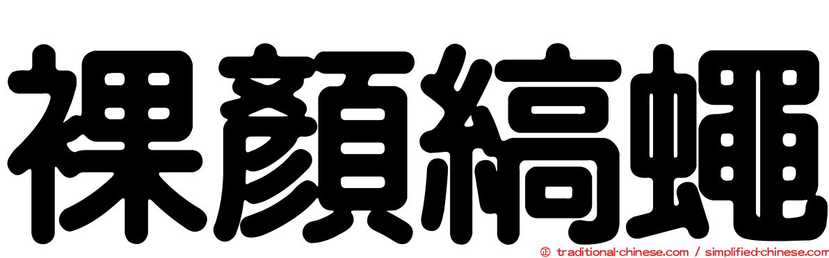 裸顏縞蠅