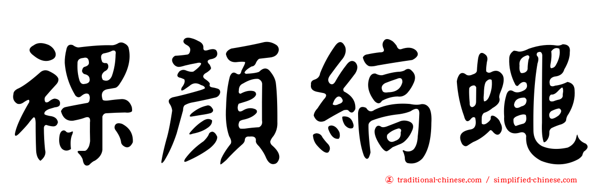 裸顏縞蠅