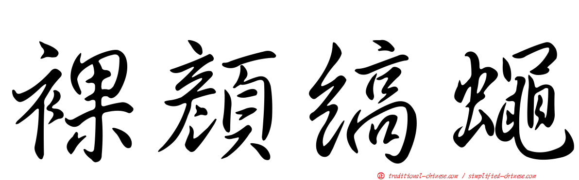 裸顏縞蠅