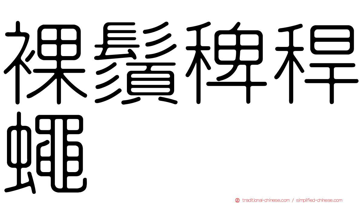 裸鬚稗稈蠅