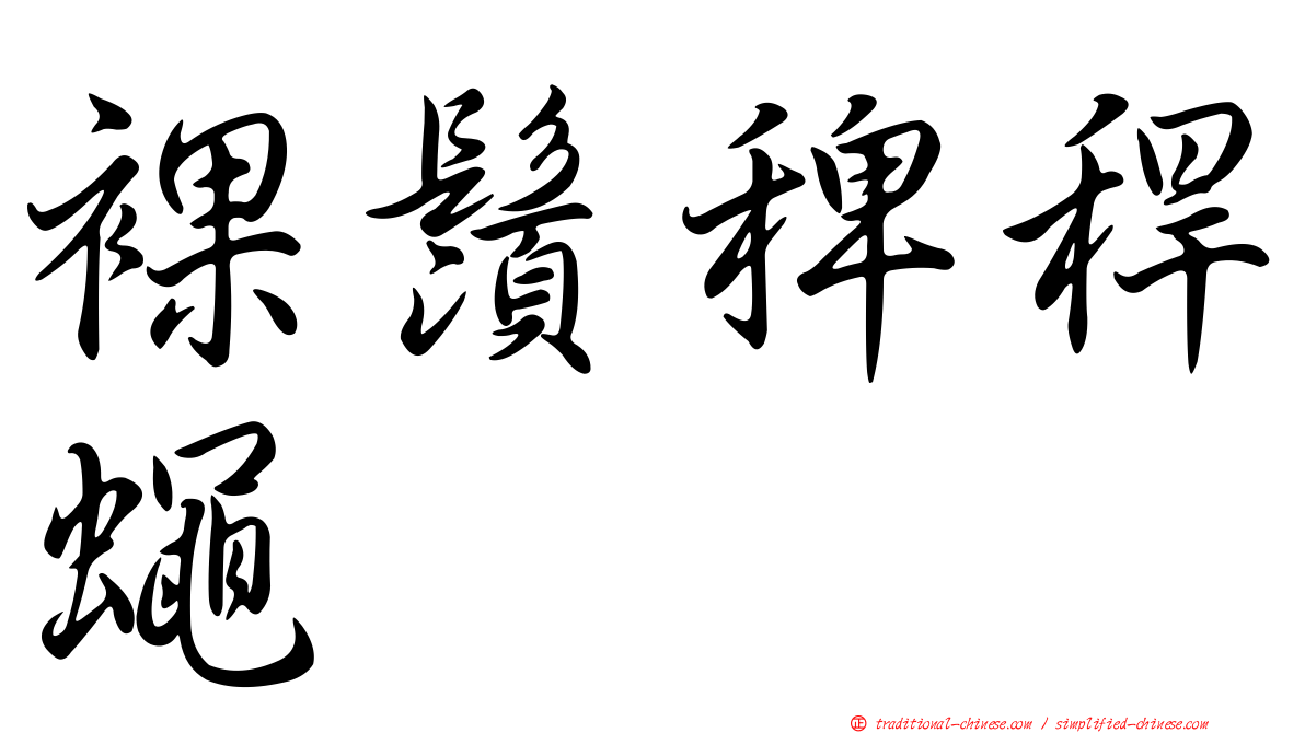 裸鬚稗稈蠅