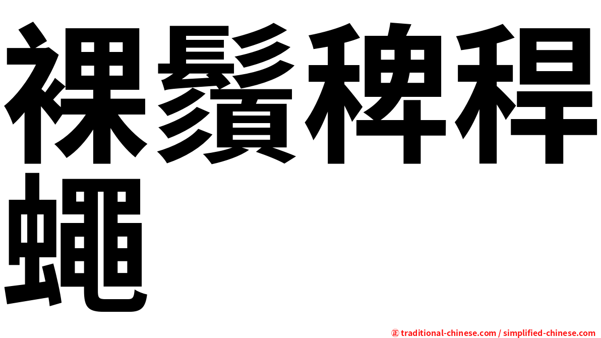 裸鬚稗稈蠅