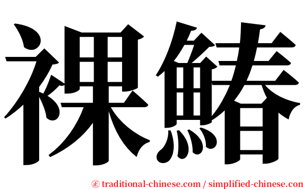裸鰆 serif font