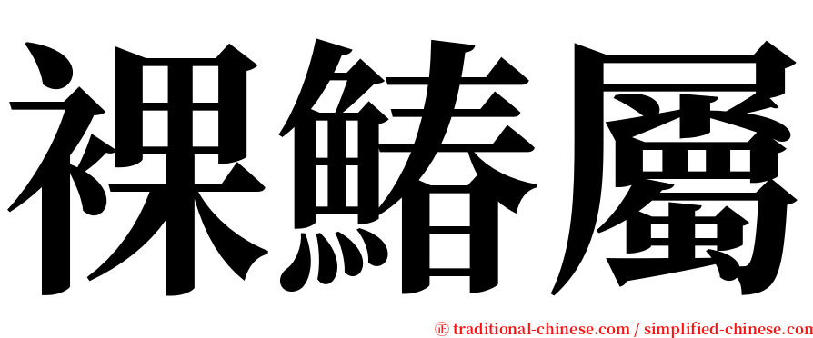 裸鰆屬 serif font