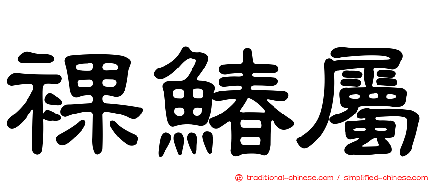 裸鰆屬