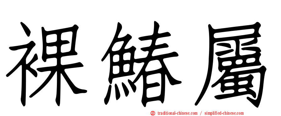 裸鰆屬