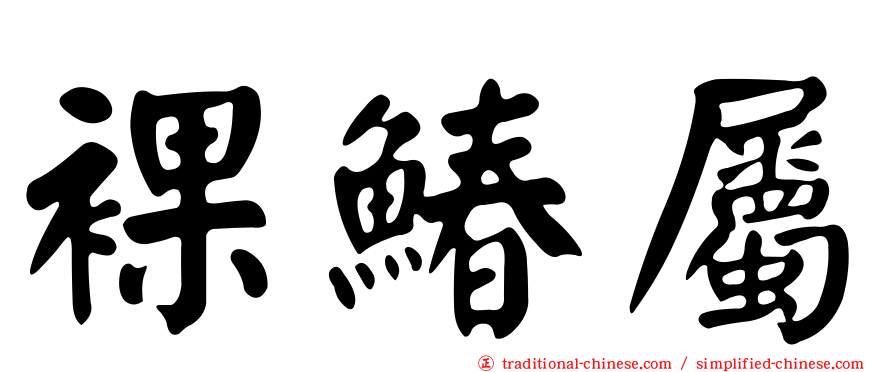 裸鰆屬