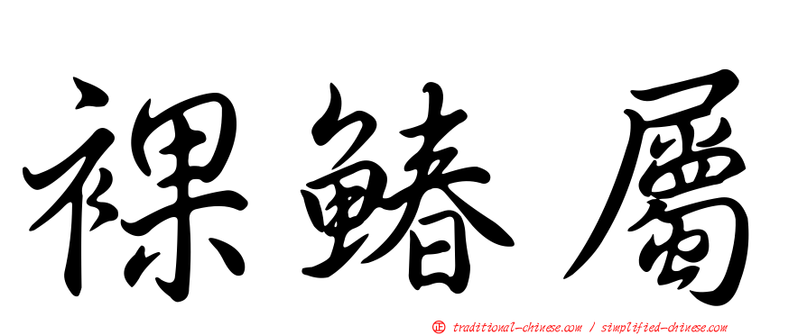 裸鰆屬