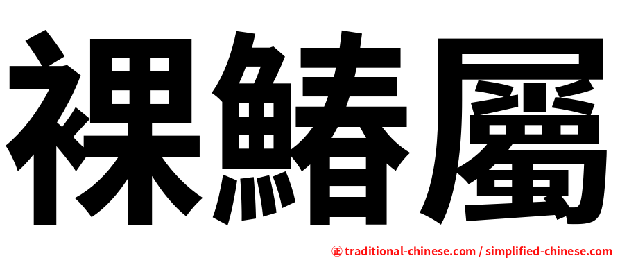 裸鰆屬
