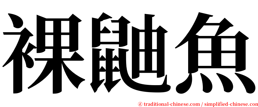 裸鼬魚 serif font