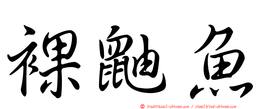 裸鼬魚