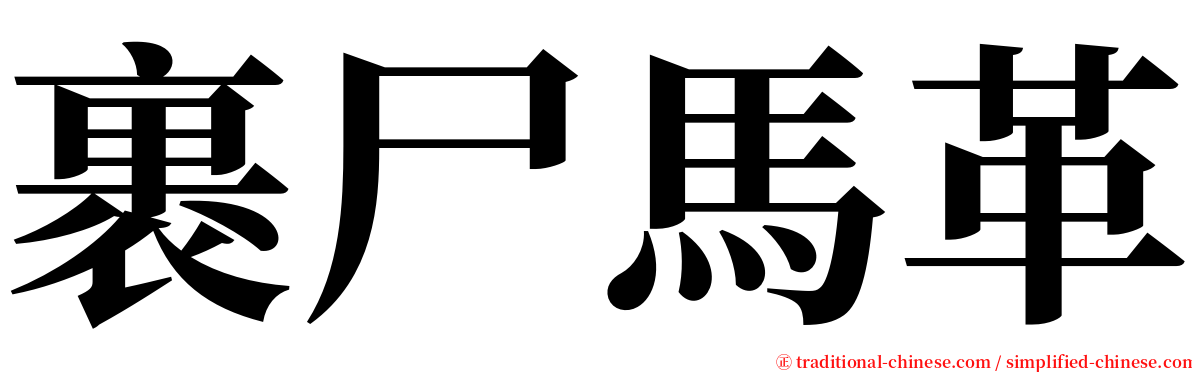 裹尸馬革 serif font